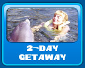 2 day Dolphin vacations