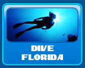 Diving in Florida