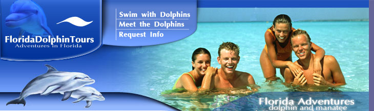 Swim with the dolphins in Florida