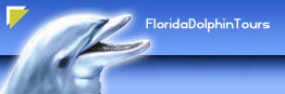 Florida Dolphin Tours Home Page
