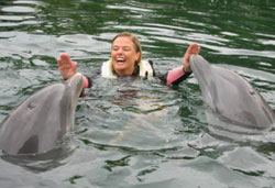 dolphin swim photo